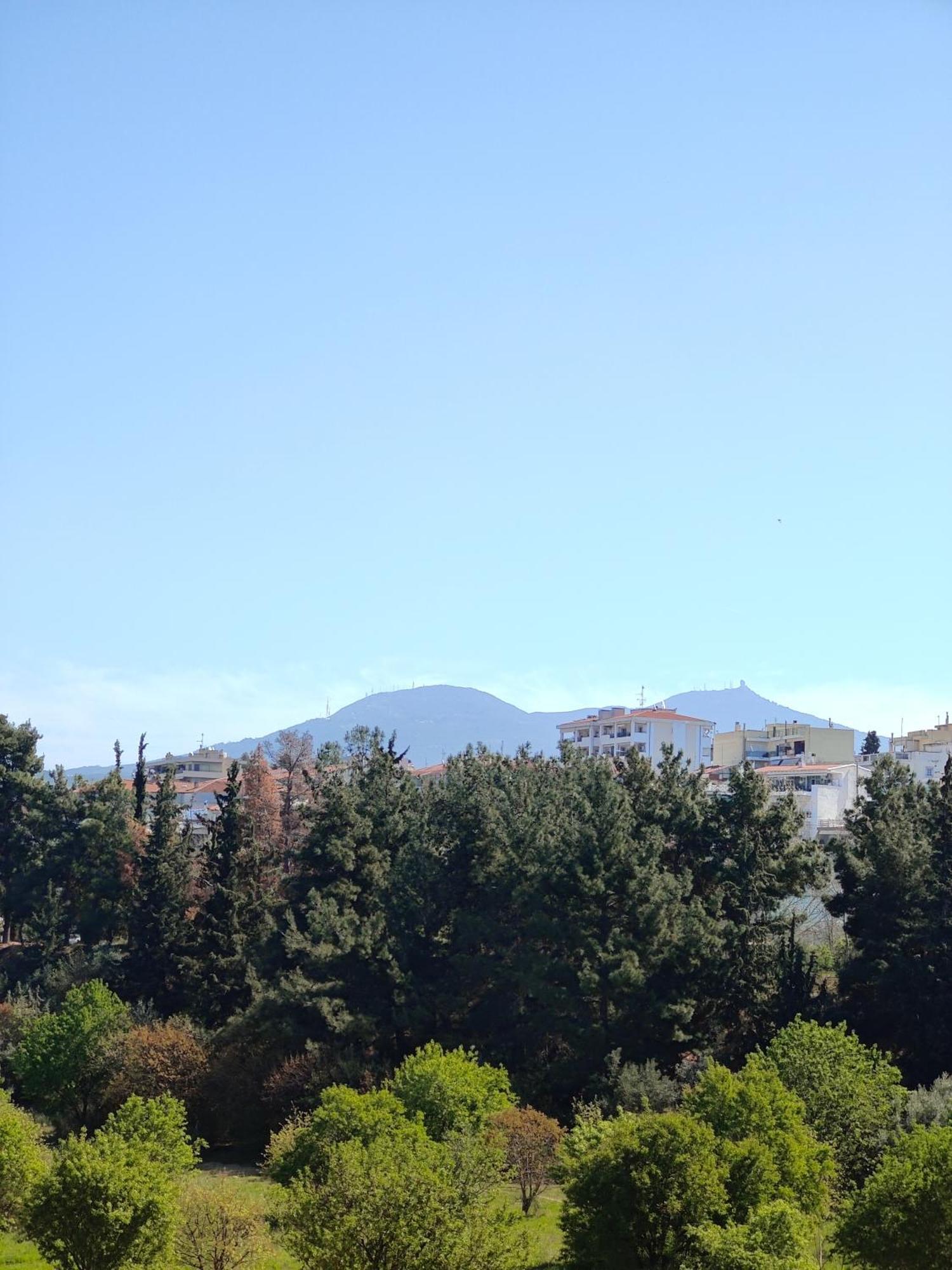 Celestial Garden-Thessaloniki'S Modern, Eclectic Penthouse With An Amazing View And Veranda Dış mekan fotoğraf
